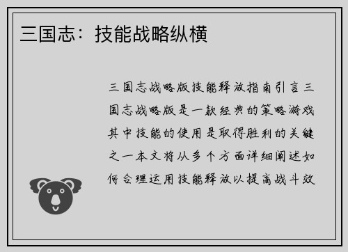 三国志：技能战略纵横